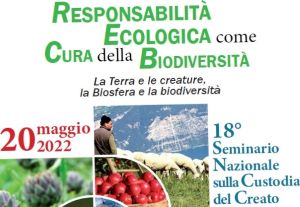 Creato 2022 web