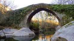 Ponte
